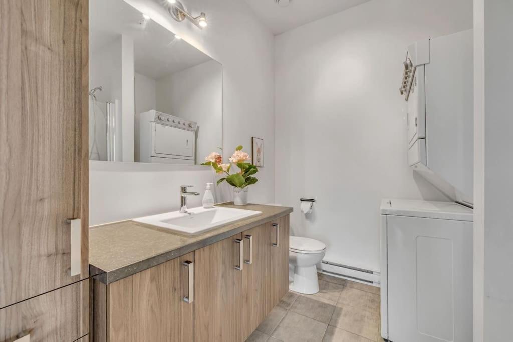 Initial / Lapin / Downtown Qc Apartment Quebec City