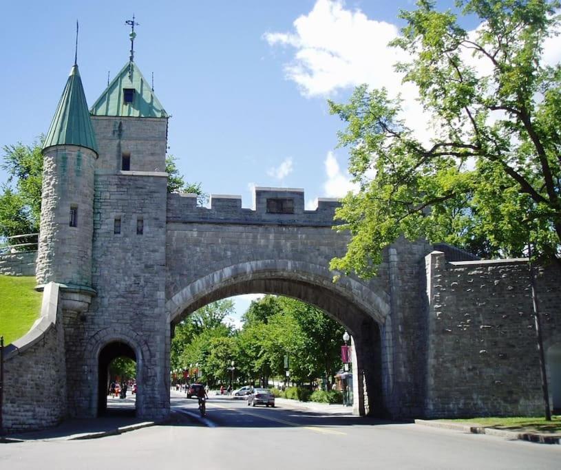 Initial / Lapin / Downtown Qc Quebec City